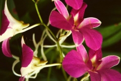 PICT0035