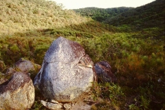 PICT0041