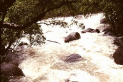 PICT0046