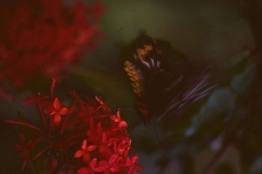 PICT0047
