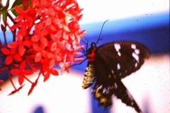 PICT0048