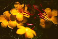 PICT0051