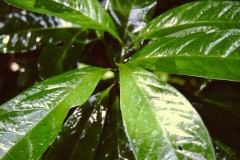 PICT0052