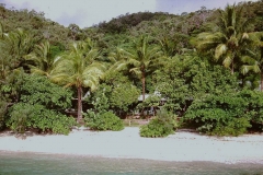 PICT0054