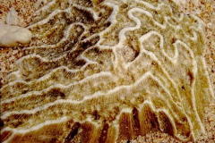PICT0056