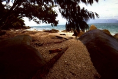 PICT0059