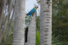 P1010326