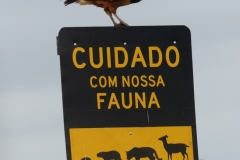P1010376