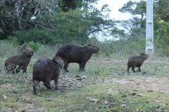 P1020053