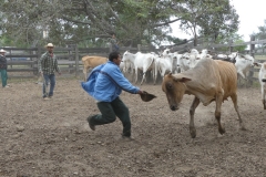 P1020181