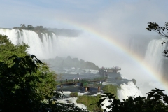 P1020951