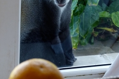 P1070537