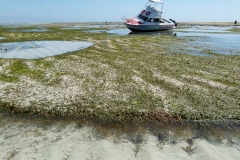 P1070777