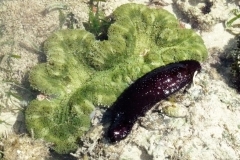 P1070786