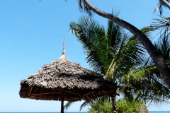 P1070805