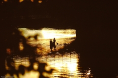 PICT0006_2