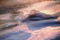 PICT0007