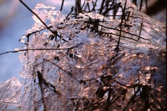 PICT0008_2