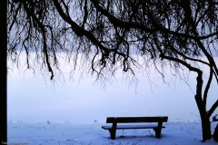 PICT0009_2
