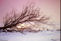 PICT0012_2