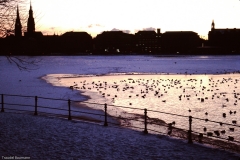 PICT0033