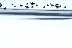 Winterg_nse_G_nse_Alster