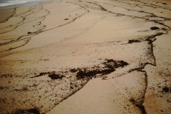 My beautiful picture