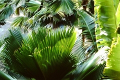 My beautiful picture