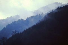 My beautiful picture