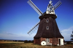 My beautiful picture