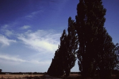 My beautiful picture