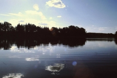 My beautiful picture