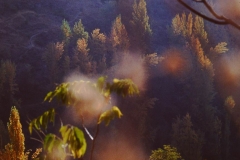 My beautiful picture