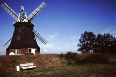 My beautiful picture