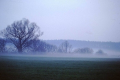 My beautiful picture