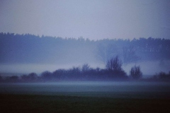 My beautiful picture