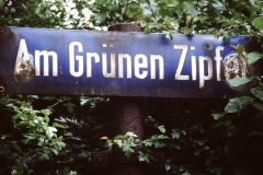 My beautiful picture