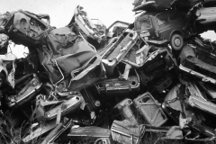 My beautiful picture