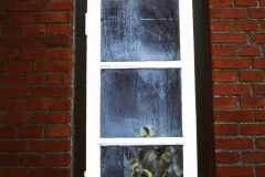 My beautiful picture