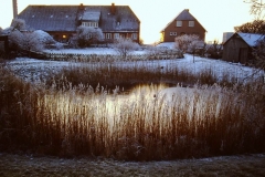 My beautiful picture