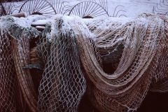 My beautiful picture