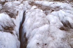 My beautiful picture