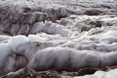 My beautiful picture