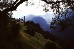 My beautiful picture