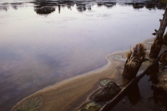 My beautiful picture