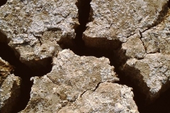 My beautiful picture