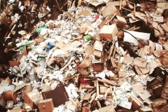 My beautiful picture