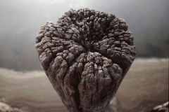 My beautiful picture