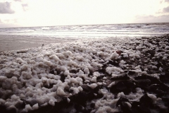 My beautiful picture