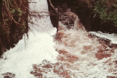 My beautiful picture